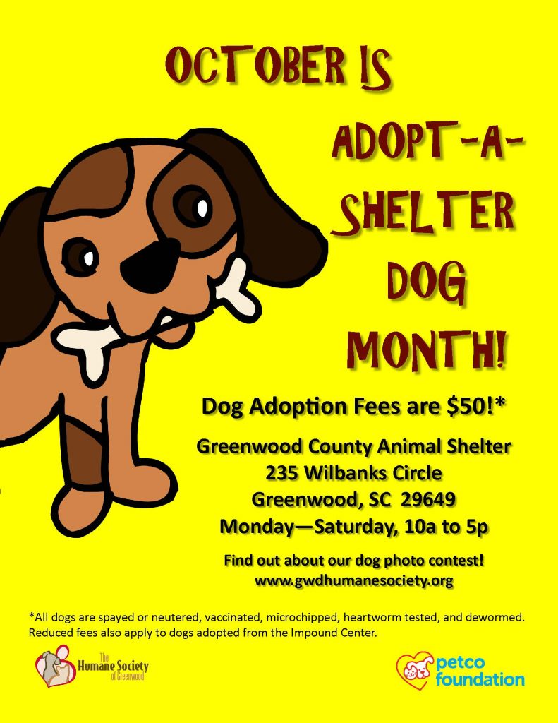 adopt-a-dog-month-poster